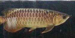 20131226_120031.jpg