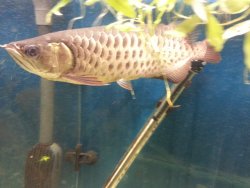 011.jpg