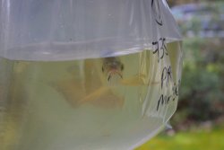 p2.jpg