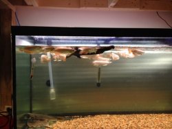image6.jpeg