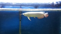 20150324_211356.jpg