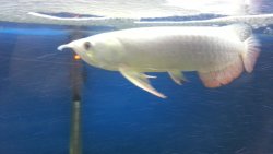 20150324_211422.jpg