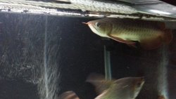 20150324_211820.jpg