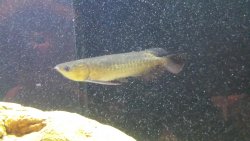 20150413_133815.jpg