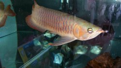 20150609_180427.jpg