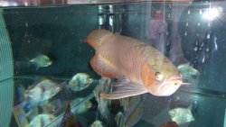 20150609_180443.jpg