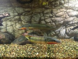 IMG_0347.jpg