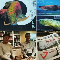 LEI-LiveExoticImports DreamFish Promotional Tour - Asian Arowana Feng Shui Dragons - 03.jpg