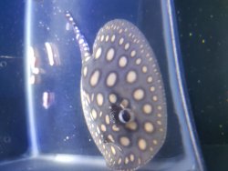 20161115_224557.jpg