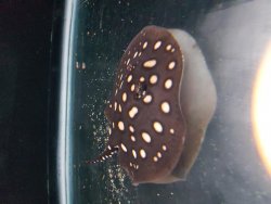 20161119_200403.jpg
