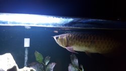 20170517_201038.jpg