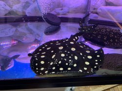 IMG_0433.jpg