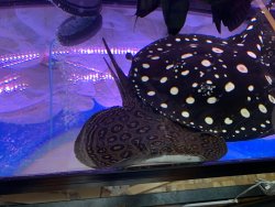 IMG_0435.jpg