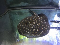 IMG_0638.JPG