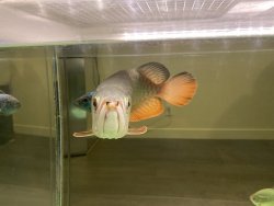 IMG_0310.jpg