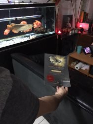 Customer's red and cert.jpg