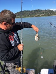 sturgeon bait.jpg