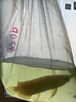 IMG_5256.JPG