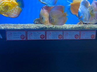 IMG_3440.JPG