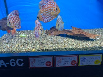 IMG_3442.JPG