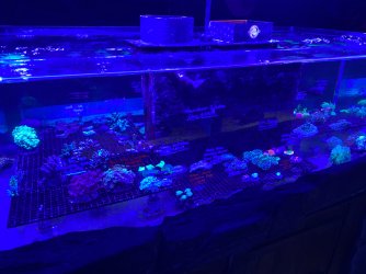 IMG_3449.JPG