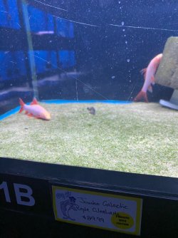 IMG_3452.JPG