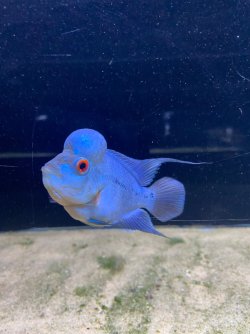 IMG_3460.JPG