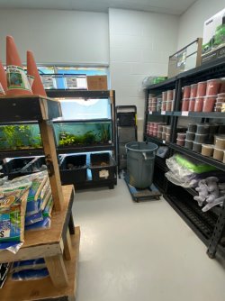 IMG_3920.JPG