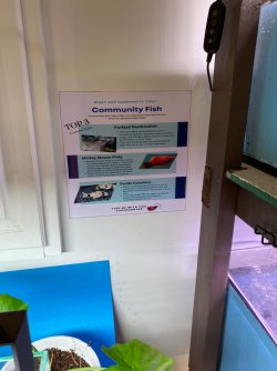 IMG_3932.JPG