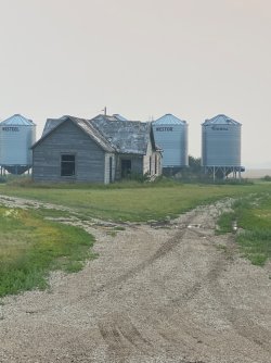 IMG_3964.JPG