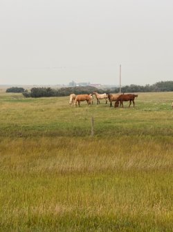 IMG_3968.JPG