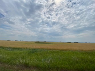 IMG_4093.JPG