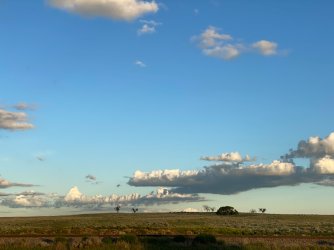 IMG_4396.JPG