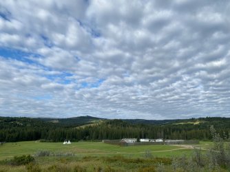 IMG_4438.JPG