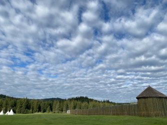 IMG_4443 3.JPG