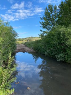 IMG_4447 3.JPG