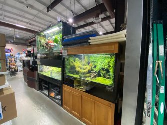 IMG_3275 2.JPG