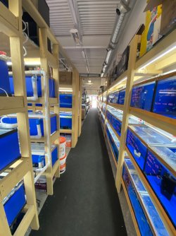 IMG_3307.JPG
