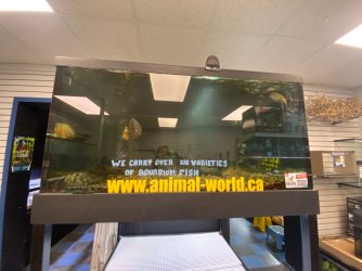 IMG_4467.JPG