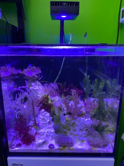 IMG_4489.JPG