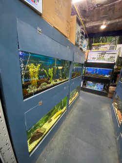 IMG_4289.JPG