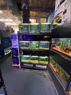 IMG_4296 2.JPG