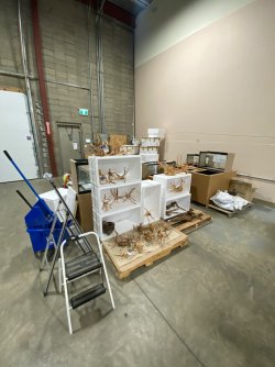 IMG_3541 2.JPG