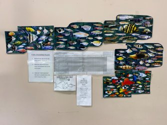 IMG_3554 2.JPG