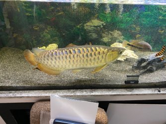 IMG_3580.JPG