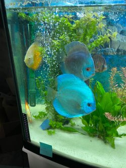 IMG_3594.JPG