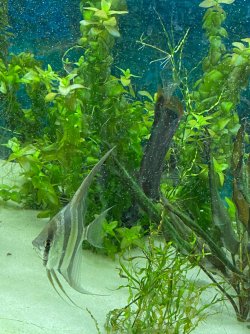 IMG_3596.JPG