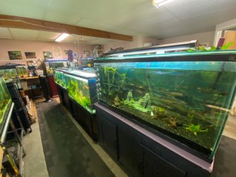IMG_3601.JPG