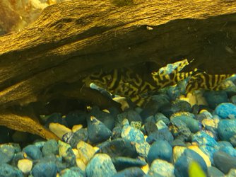 IMG_3620.JPG