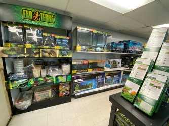 IMG_4273.JPG